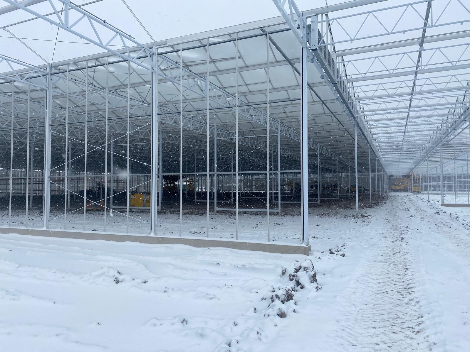 Proplant Propagation